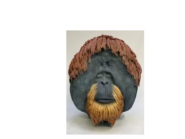 h_Mosche-Bianche_MACACO-NORMALE_D5fhbm4bLS.jpeg